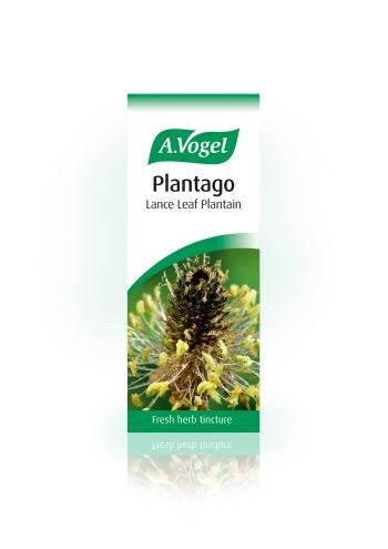 A.Vogel Plantago Lanceolata