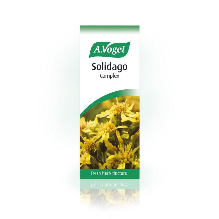 A.Vogel Solidago Complex 50ml
