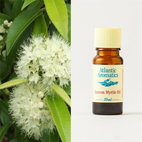 Atlantic Aromatics Lemon Myrtl