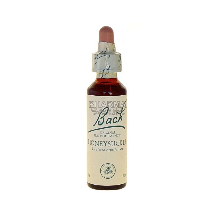 Bach Honeysuckle