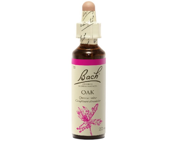 Bach Oak