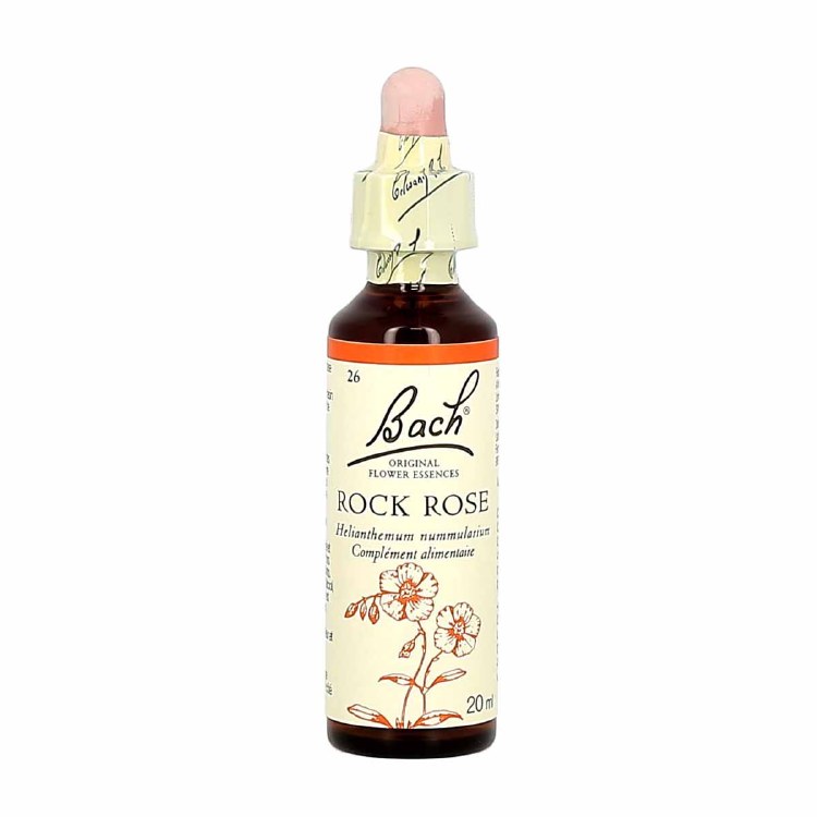 Bach Rock Rose