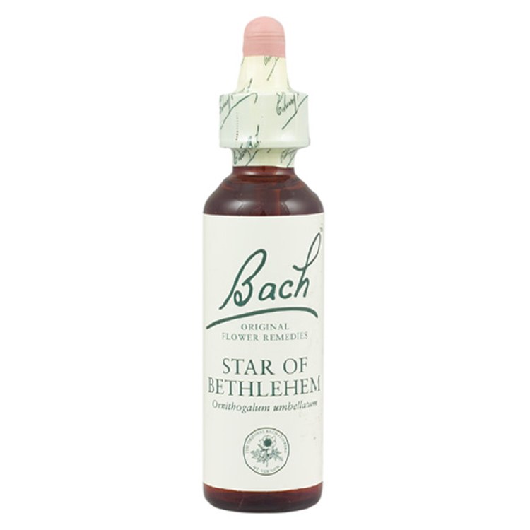 Bach Star of Bethlehem