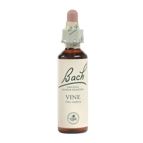 Bach Vine