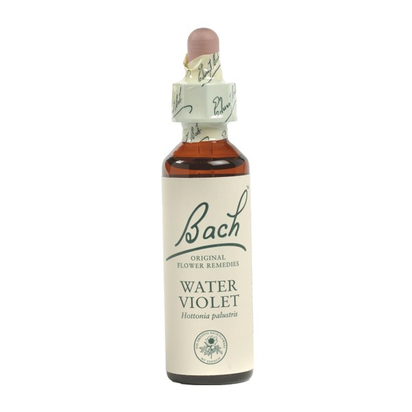 Bach Water Violet