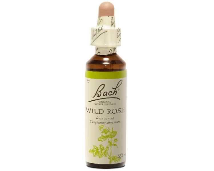 Bach Wild Rose