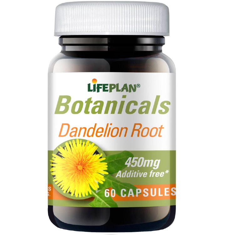 Lifeplan Dandelion Root