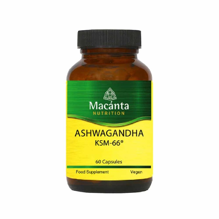 Macanta Ashwaghanda KSM 66