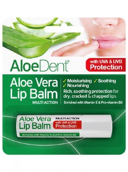 Aloe Dent Aloe Vera Lip Balm