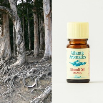 Atlantic Aromatics Niaouli