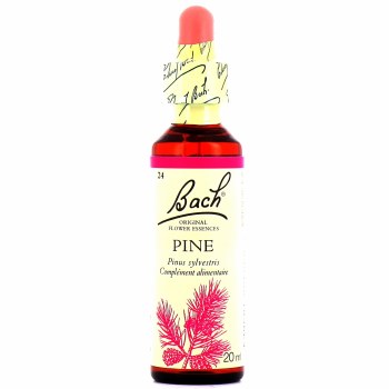 Bach Pine