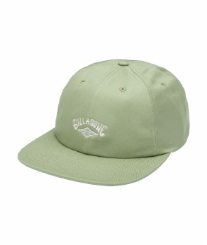 BB GLOBAL ARCH CAP MOSS GREEN