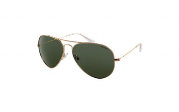NORTH BEACH CHAR SUNGLASSES GOLD/GREEN