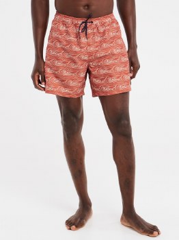 PR TERTON BOARDSHORTS CLAY S