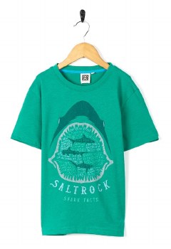 SR JUNIOR SHARK FACTS T-SHIRT GREEN 13