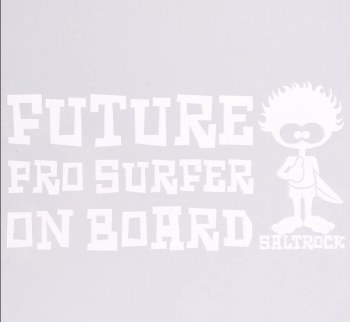 SALTROCK FUTURE PRO VAN STICKER