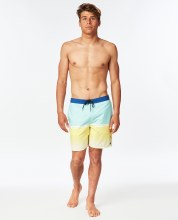 RC MEN'S NU DIVIDING BOARDSHORTS AQUA L