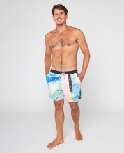 RC MEN'S X BABAPT BOARDSHORTS L