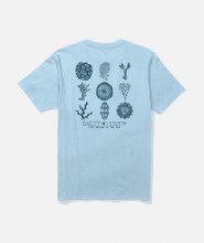 SC MEN'S CORAL HEAD TEE CLEAR SKY S
