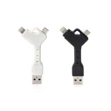 2 in 1 Keychain USB Cable Asst
