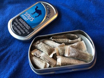 Camel Snus Frost