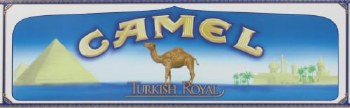 Camel Turkish Royal - Pack or Carton