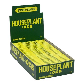 Houseplant Bamboo 1 1/4 Papers