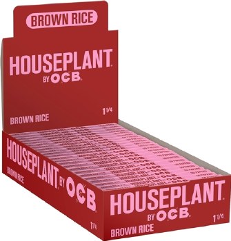 Houseplant Brown Rice 1 1/4