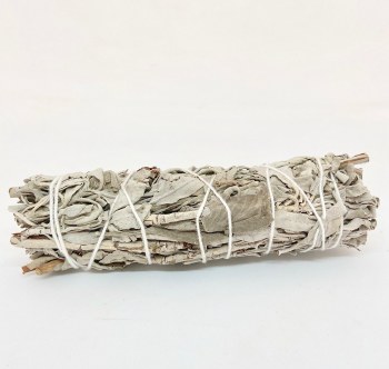 Sage Bundle Large
