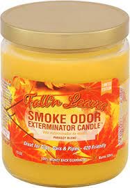 Smoke Odor Fall N Leaves Candl