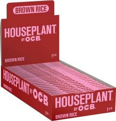 Houseplant Brown Rice 1 1/4