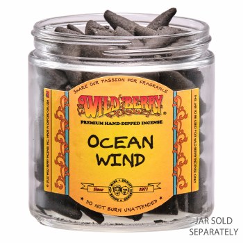 Wild Berry Ocean Wind Cones