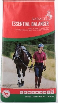 Saracen Essential Balancer 20kg