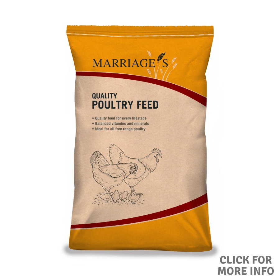 Marriages Poultry Growers Mash 20kg - Lillico's Aylesford