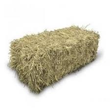 Hay Bale