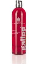 Carr & Day & Martin Gallop Colour Enhance Shampoo Bay 500ml