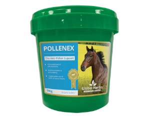 Global Herbs PolleneX 500g