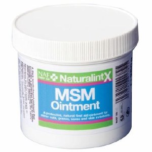 NAF Naturalintx MSM Ointment 250g