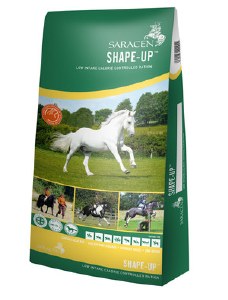 Saracen Shape-Up 20kg