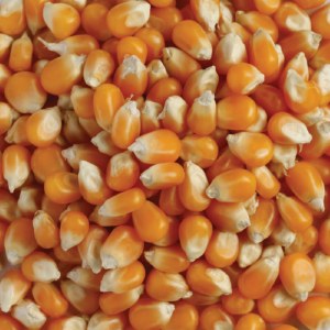 Home Farm Whole Maize 20kg