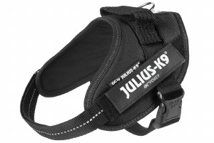 Julius K9 Baby 1 Black
