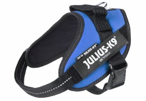 Julius K9 Size 1 Blue