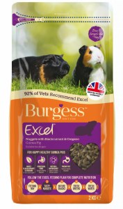 Burgess Excel Guinea Pig Nugget With Blackcurrant 2kg