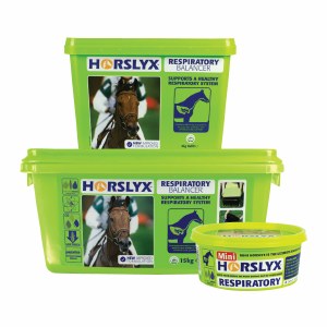 Horslyx Mini Licks Respiratory Balancer