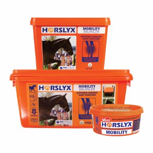 Horslyx Mini Licks Mobility Balancer