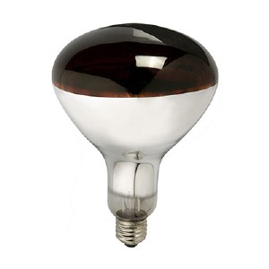 Stockshop Screw In Bulb 250w Infrared
