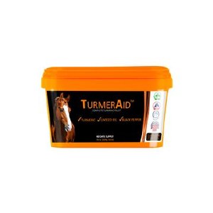 Golden Paste Turmer Aid 2kg