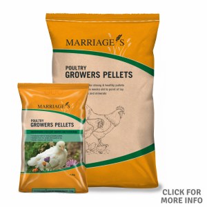 Marriages Poultry Grower Pellets 7.5kg
