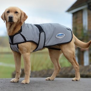 Weatherbeeta Reflective Coat Silver 25cm