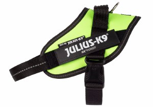 Julius K9 Size 3 Neon Green